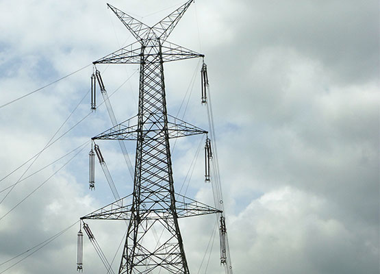 GOA TAMNAR TRANSMISSION PROJECT LIMITED